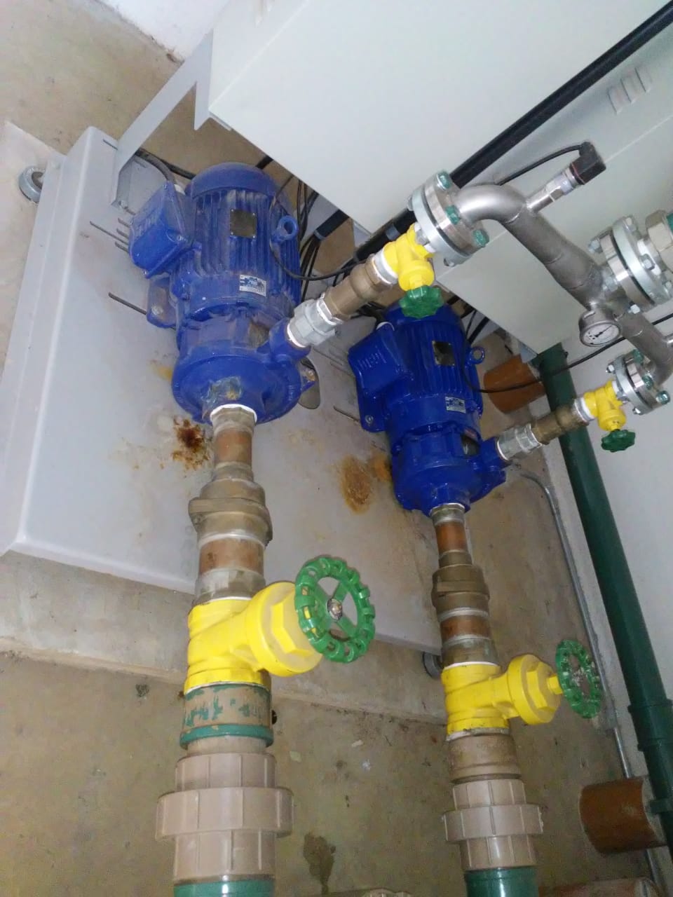 WhatsApp Image 2021-07-23 at 4.14.00 PM.jpeg